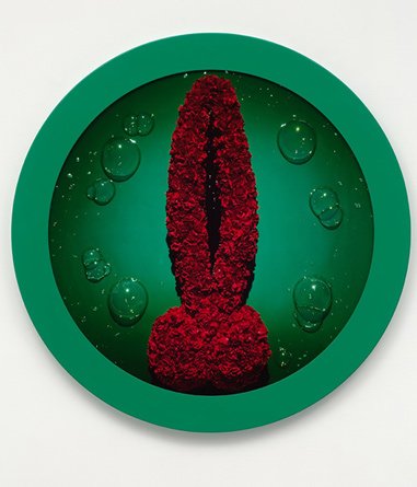 Wreath to Pleasure No 12