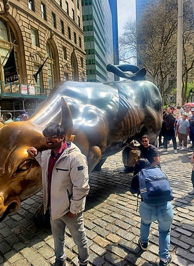 Charging Bull