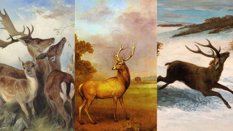 Deer Paintings