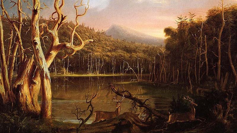 Lake with Dead Trees (Catskill)