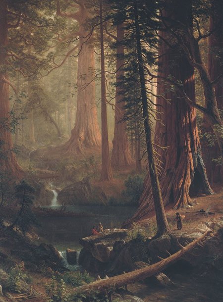 Giant Redwood Trees of California – Albert Bierstadt