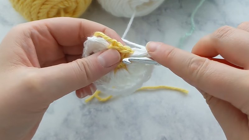 Daisy Petals (Color B)