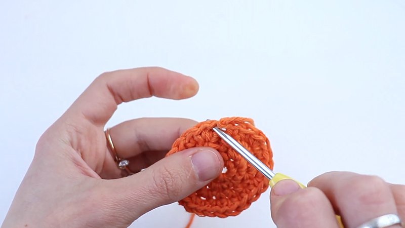 the Flower Power Dishcloth Pattern Round 2) Ch 2