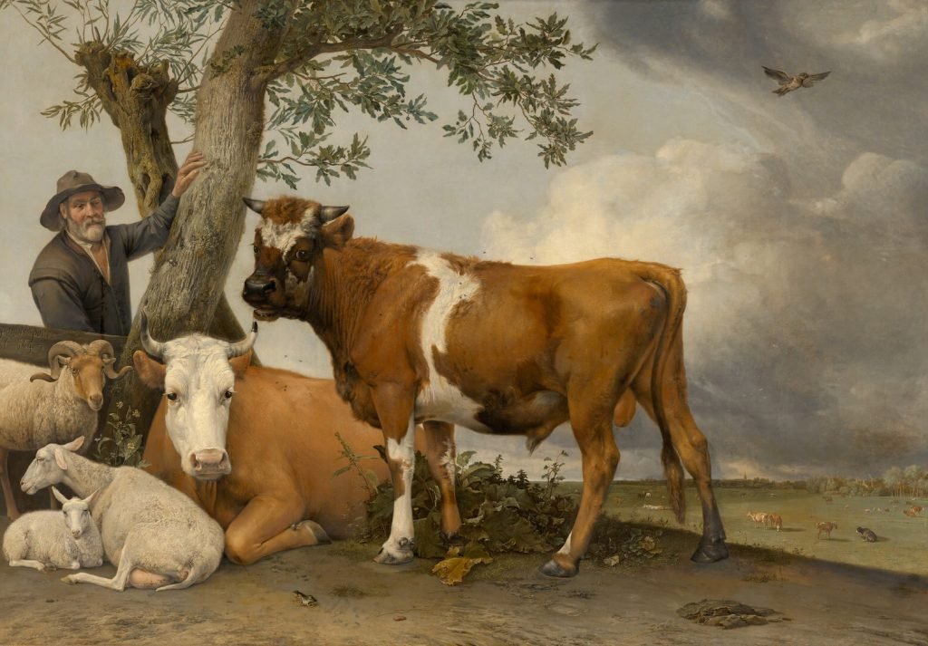 The Young Bull Paulus Potter