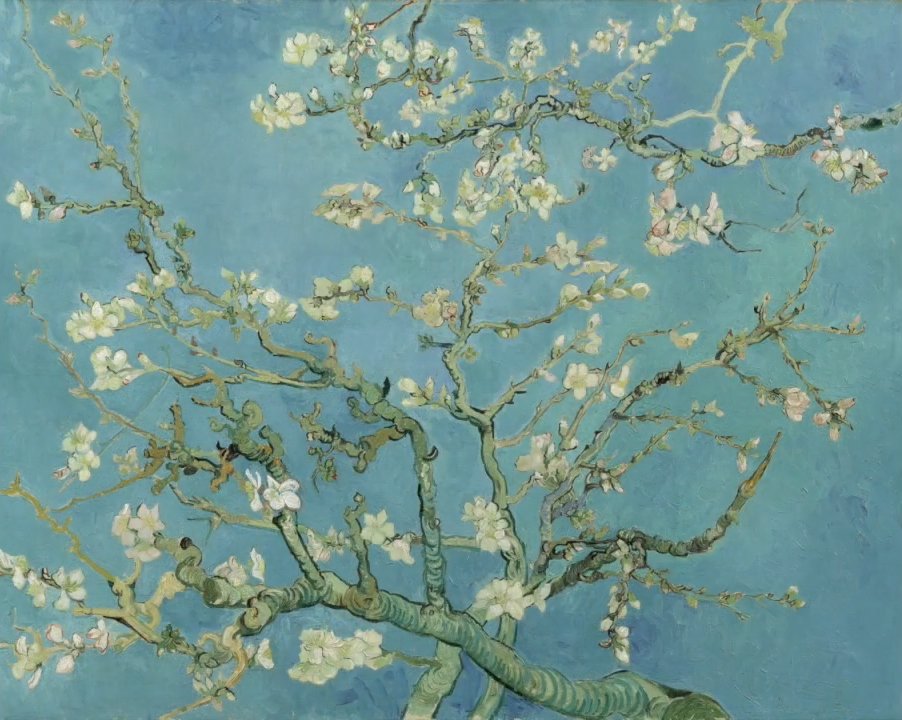 Almond Blossoms