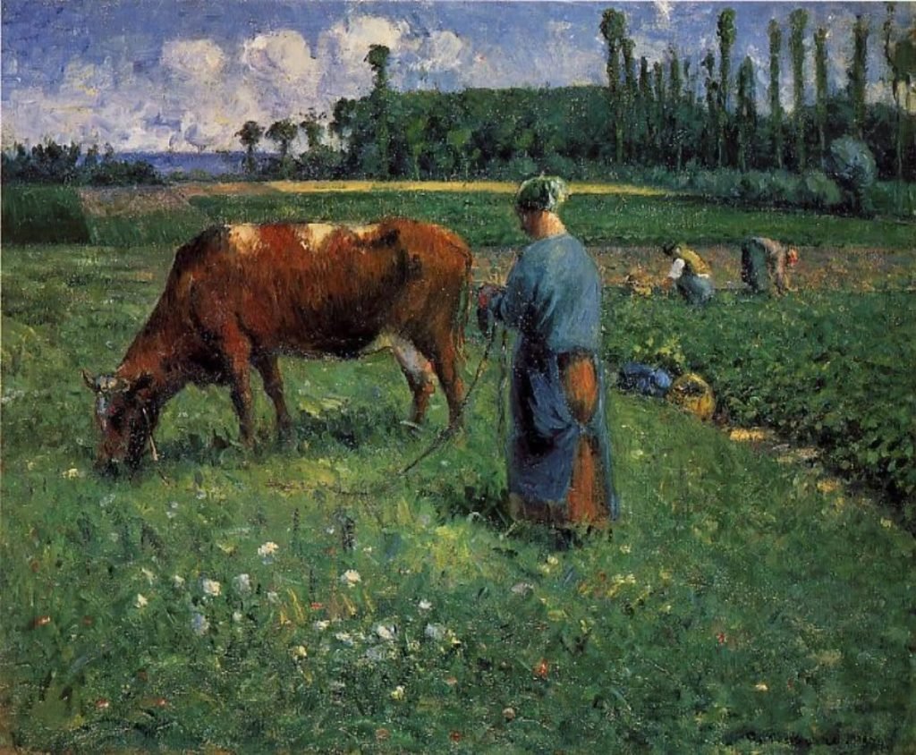 Girl Tending a Cow in Pasture Camille Pissarro
