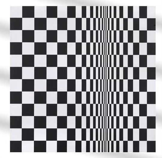 Movement in Squares – Bridget Riley