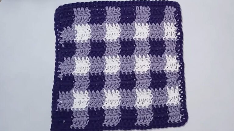 Gingham Twist Dishcloth